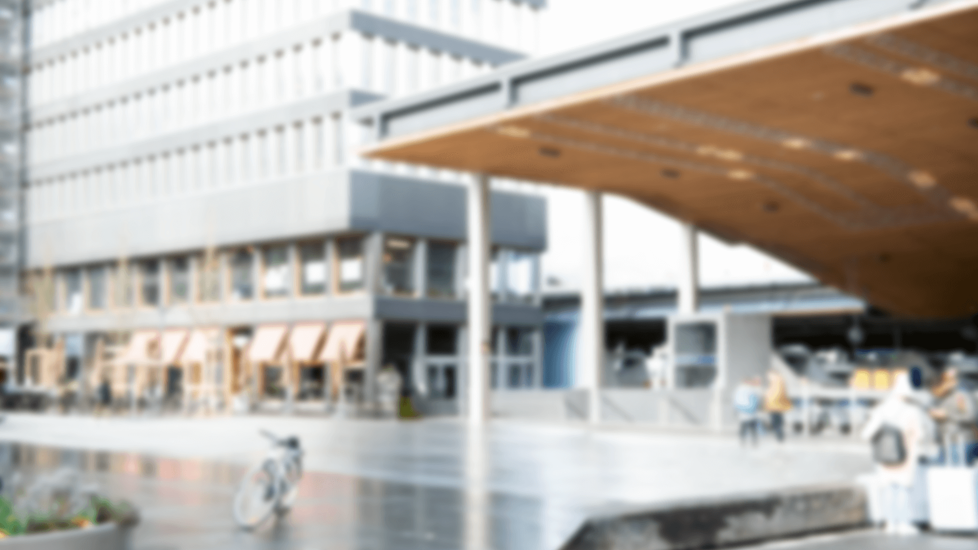 Titelbild_Schnuppern